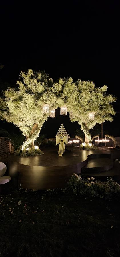 Stage and Ceiling — Sangeet decor — Casa Waters